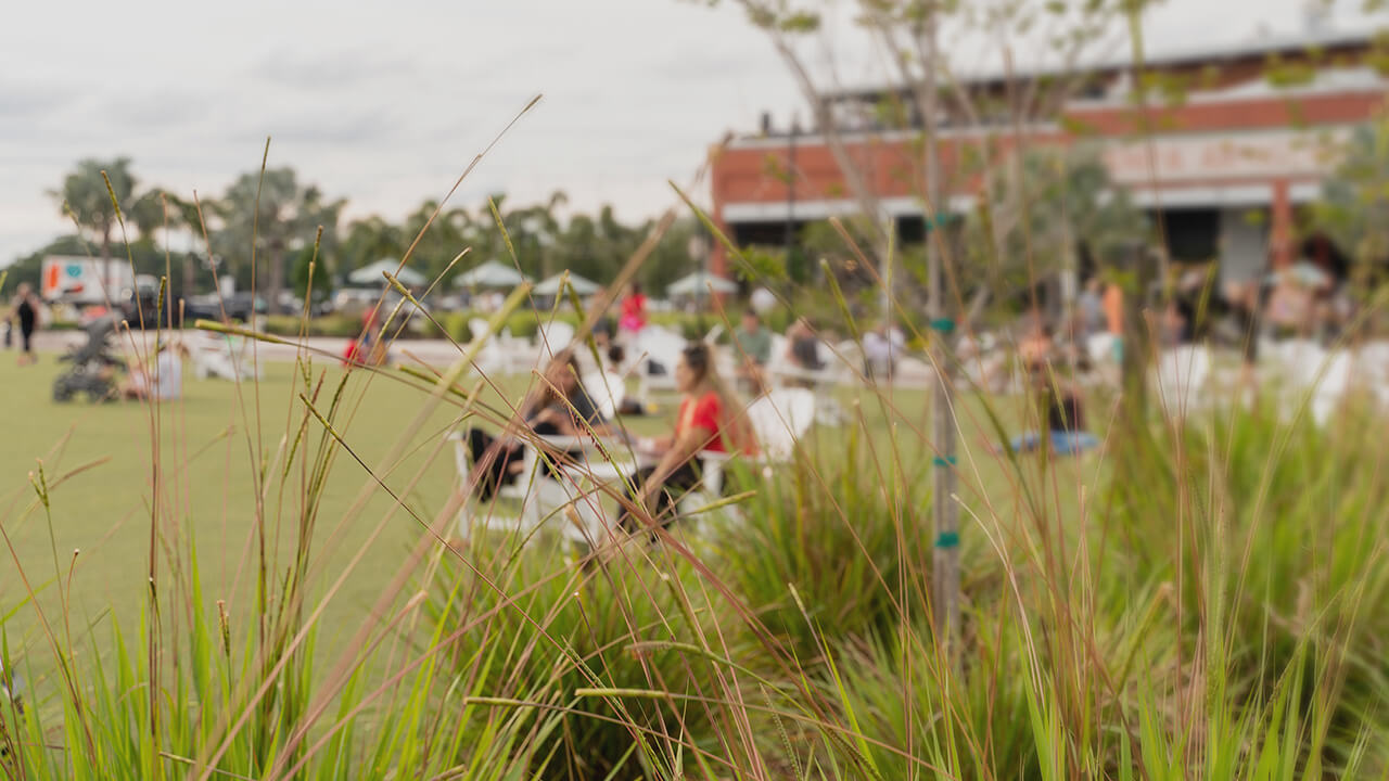 low-angle view through grasses in the foreground at a soft-focus scene of many people enjoying the outdoors on an event lawn near at Rye Ranch - one of the benefits of master-planned community living in Parrish Florida