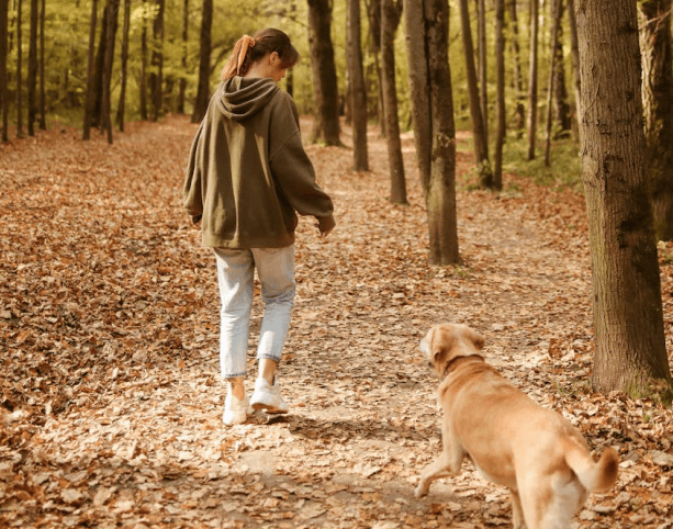 Screenshot 2025-12-04 at 7.51.52 PM