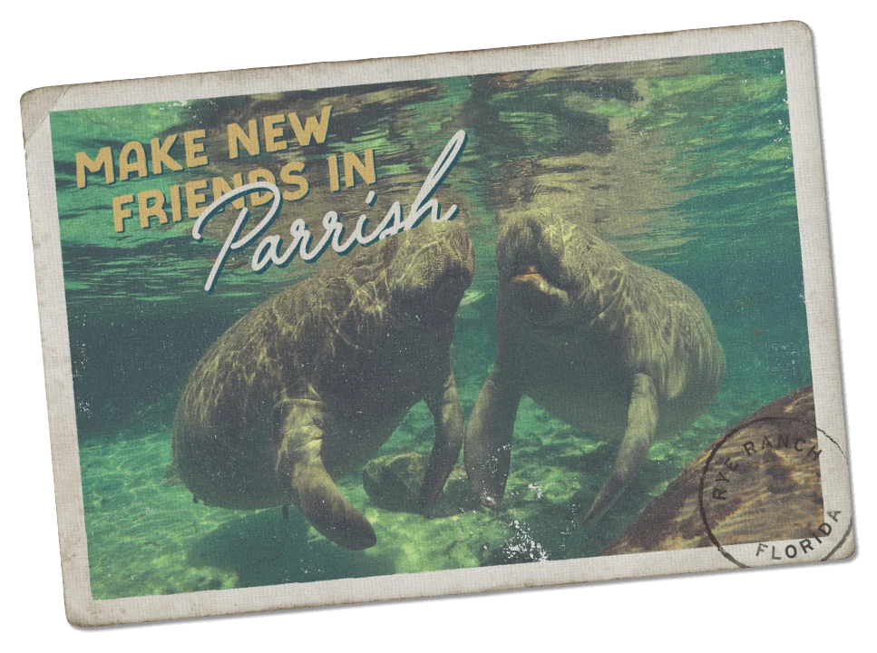 Postcard "Parrish"