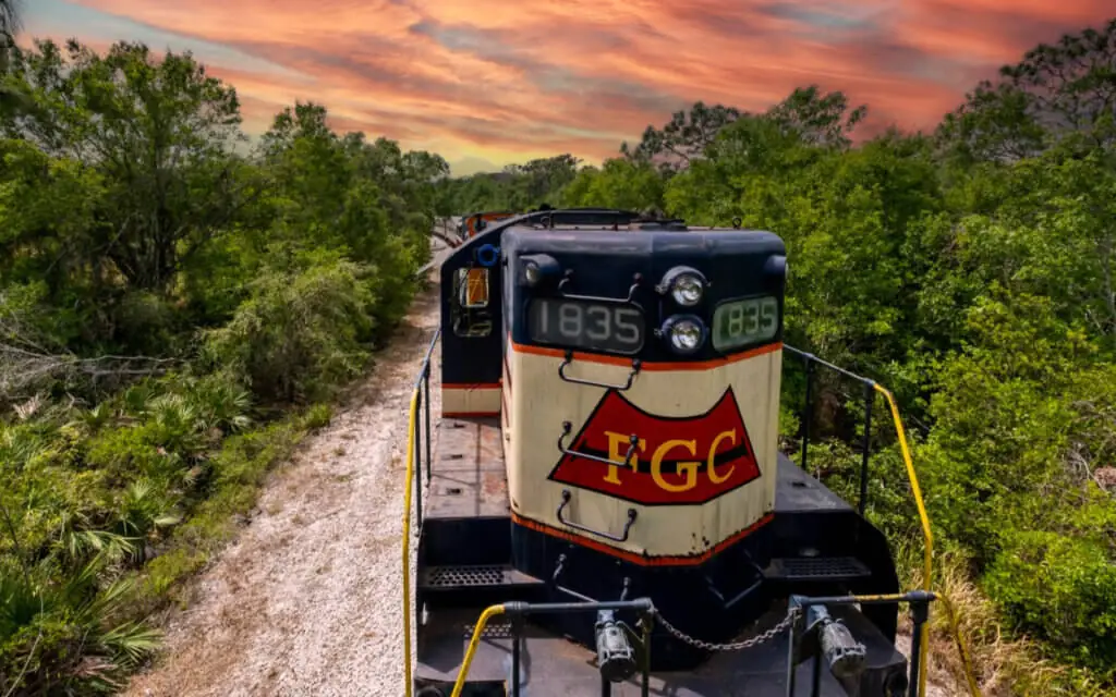 beautiful sunset image of a black and yellow and red train in the foreground with treed wilderness on either side of the track at the Florida Railroad Museum - a hidden gem in Parrish Florida